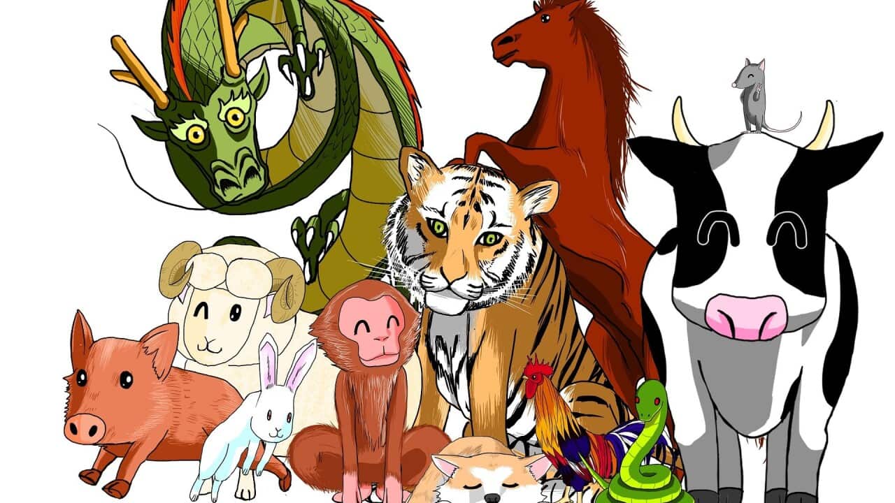 Image for read more article 'READ MORE'