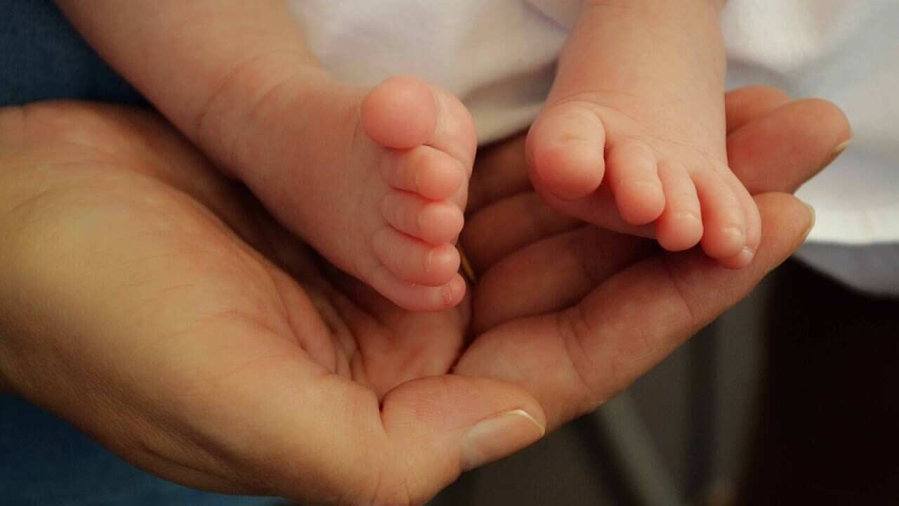 Newborn Baby Feet