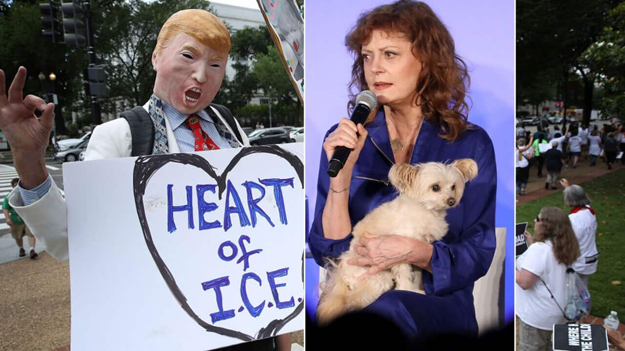 Actress Susan Sarandon was arrested in Washington as hundreds protested Trump's immigration policy.