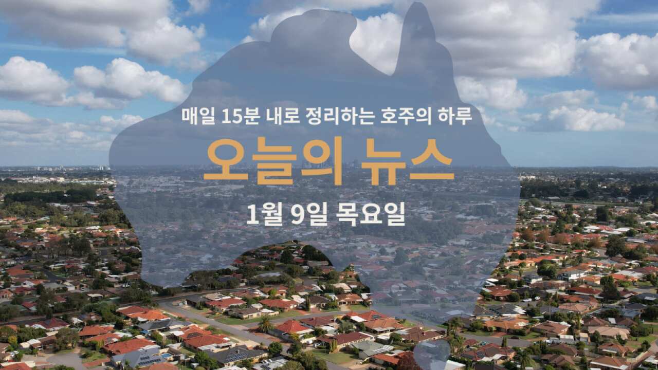 15 news WEB 9.png