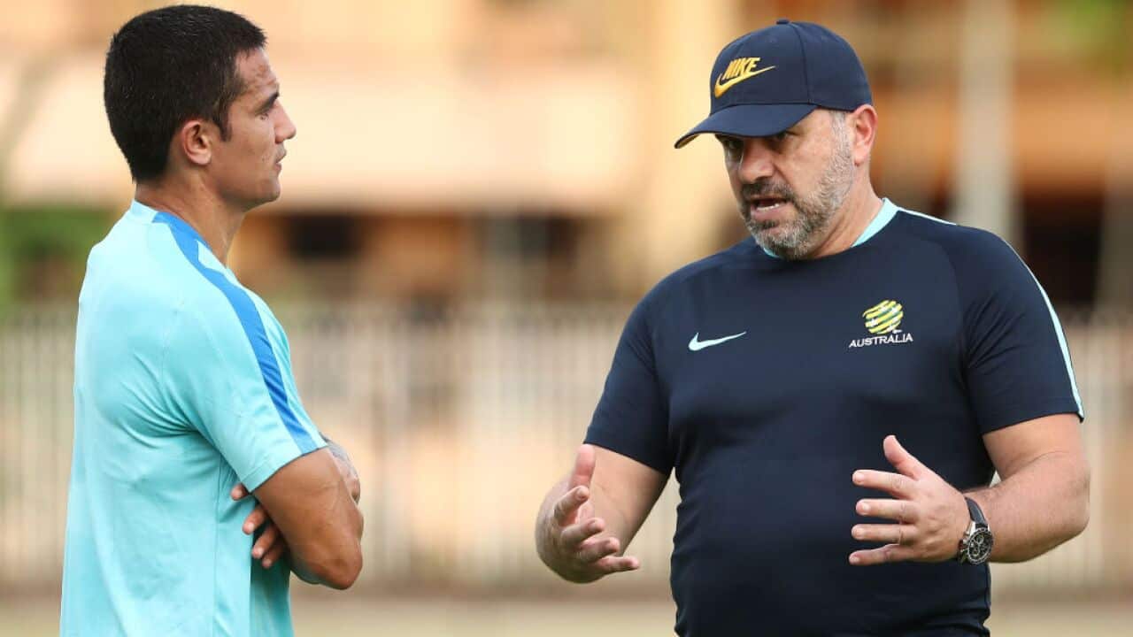 Ange Postecoglou and Tim Cahill