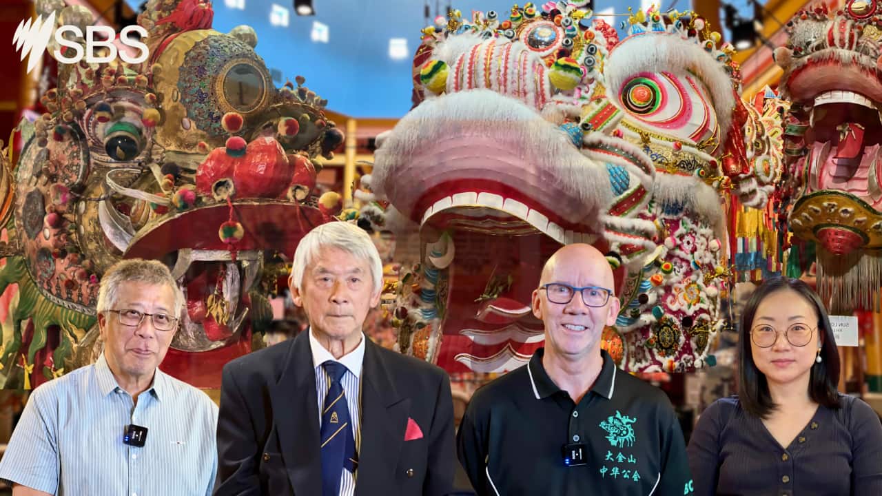 Bendigo Loong story 主图.png