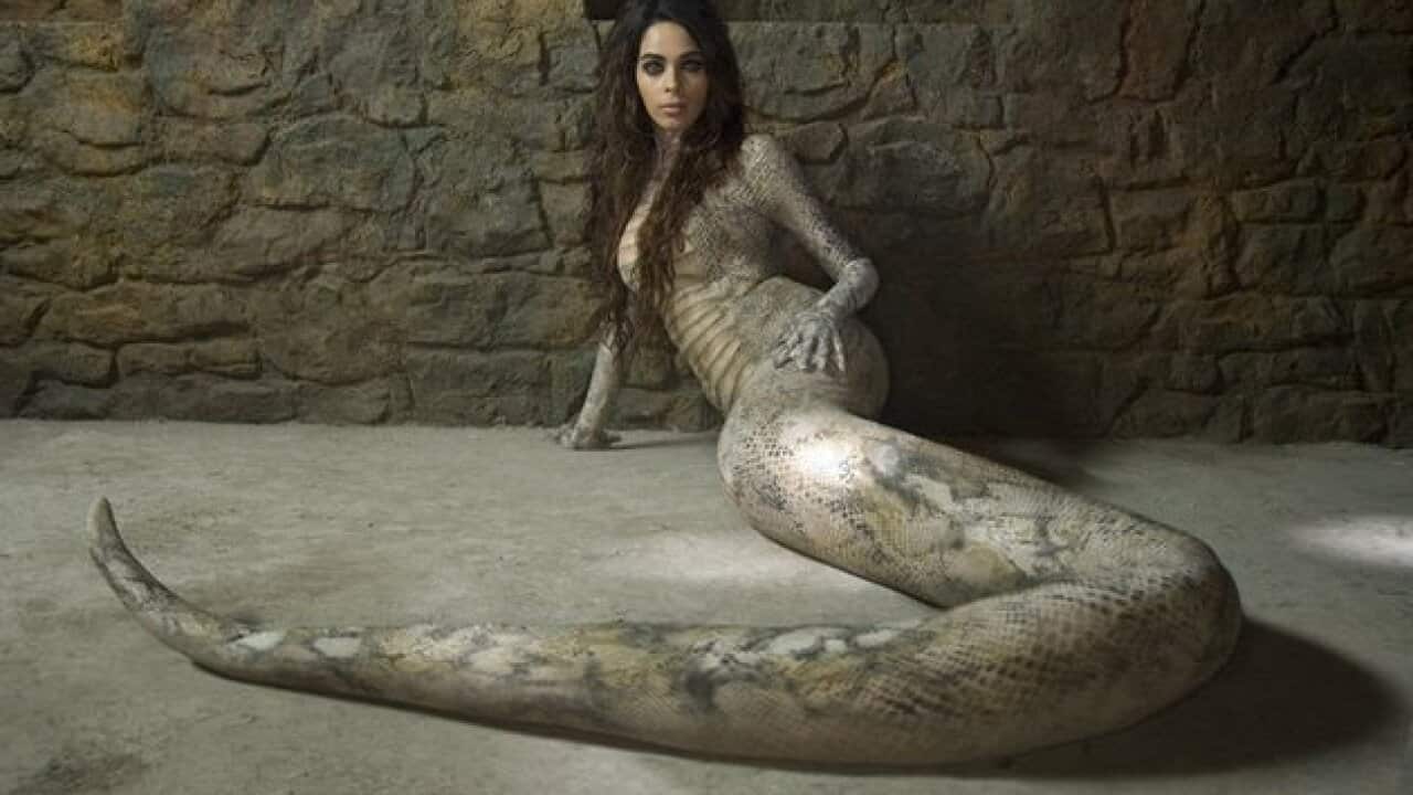 SNAKE, WOMA, TRANSMUTATION, INDIA