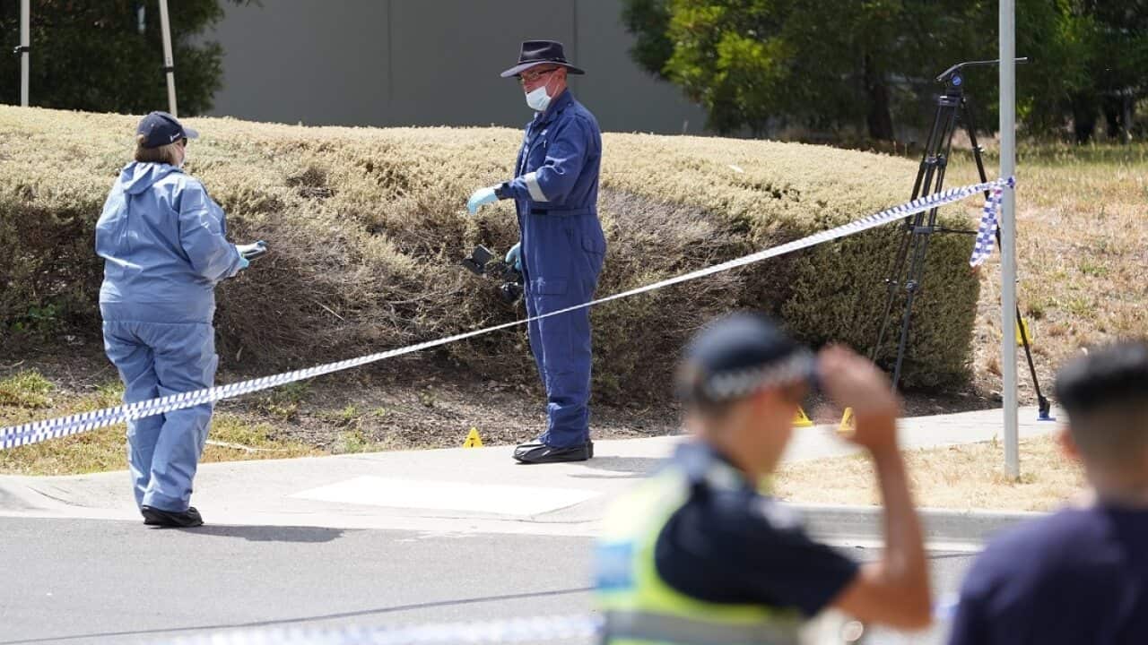 Police forensics examine the scene where a woman's body was found this morning.