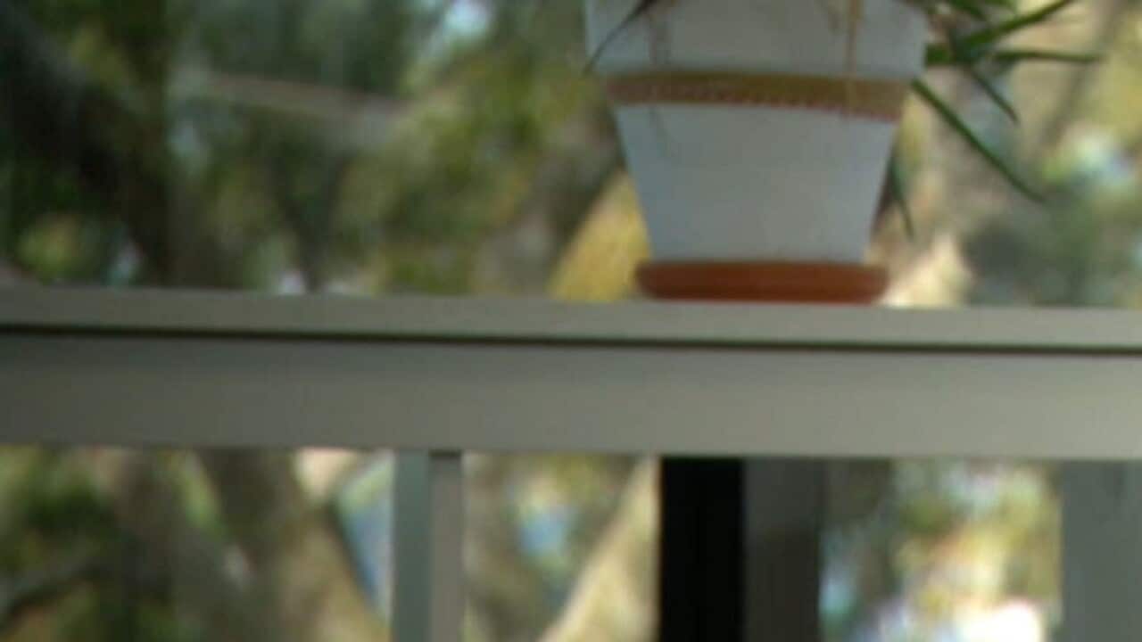 Eli El-Khoury Antonios alizaliwa na ulemavu wa cerebral palsy, amekabiliana na changamoto nyingi akitafuta kazi.