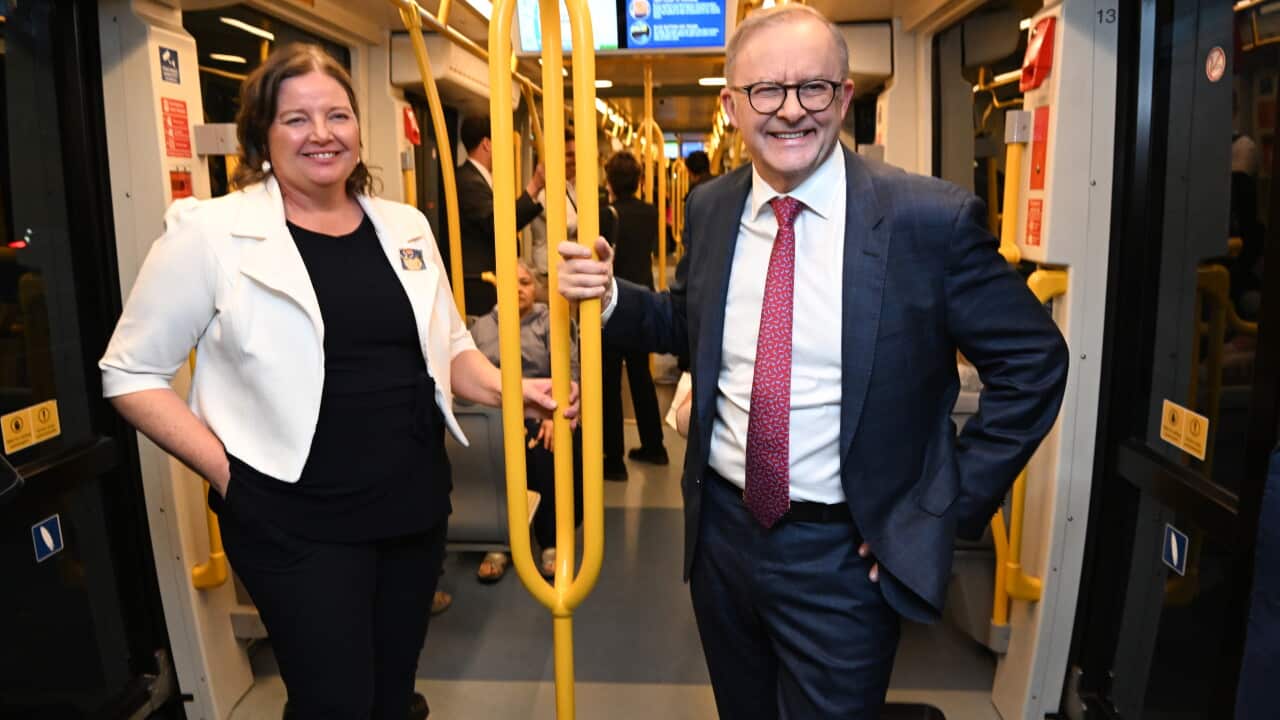 ANTHONY ALBANESE FADDEN BYELECTION Letitia Del Fabbro