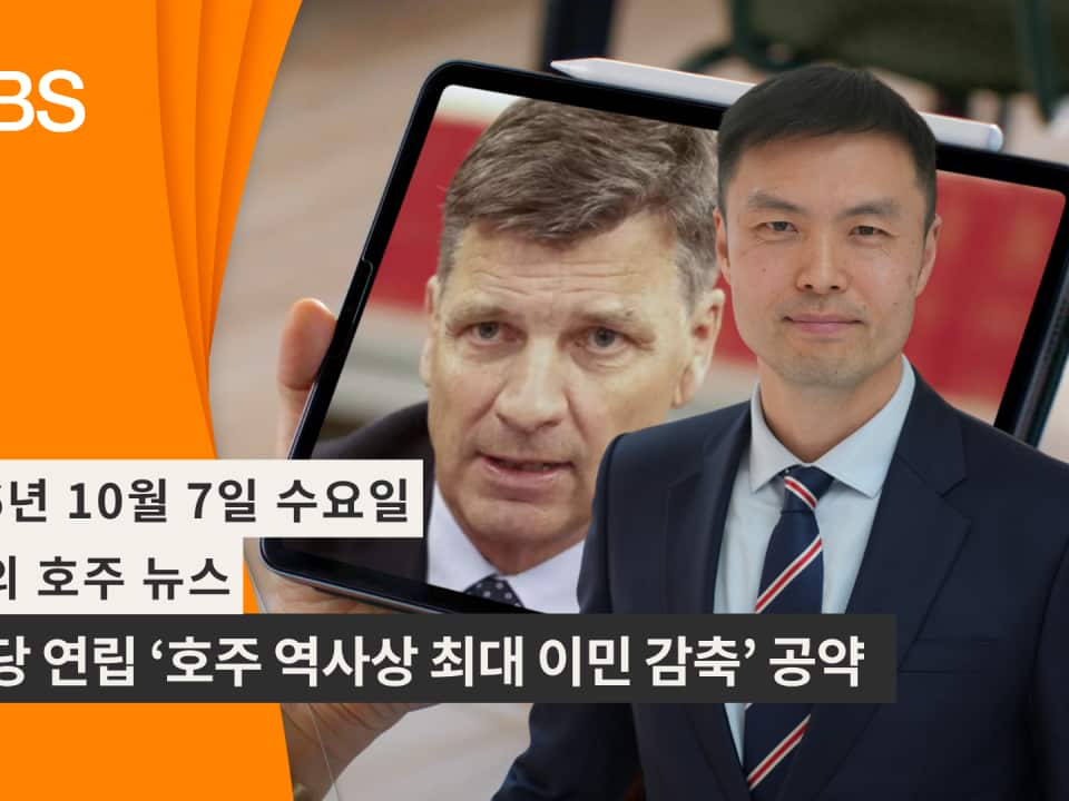 Video Newsflash (18).png