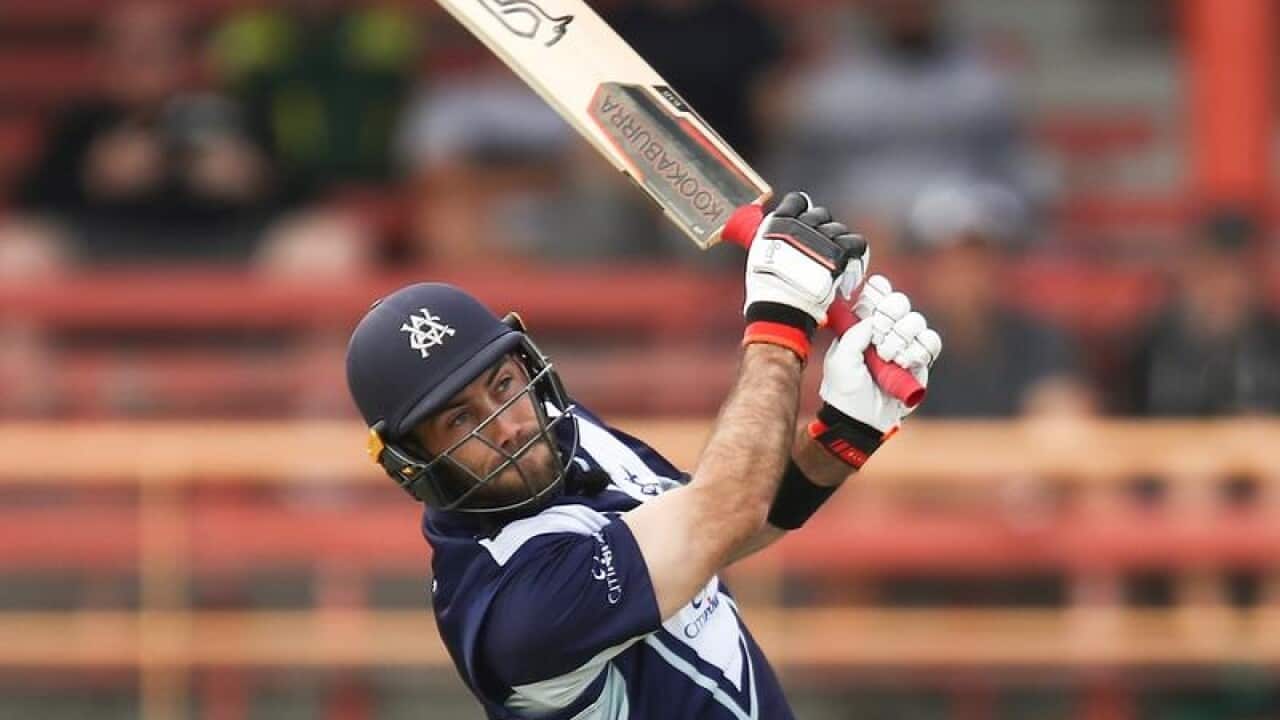 cricket