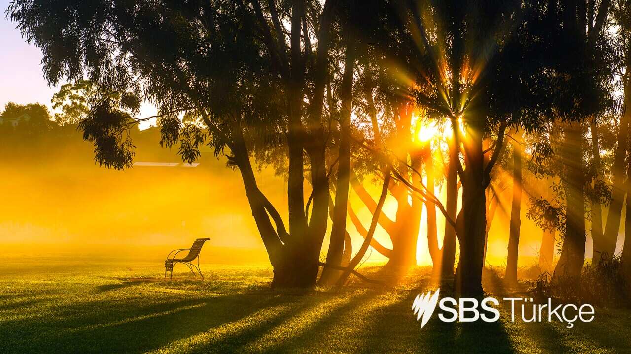 SBS Türkçe Haberler