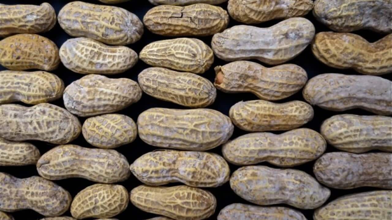 allergie erdnuss essen restaurant heuschnupfen