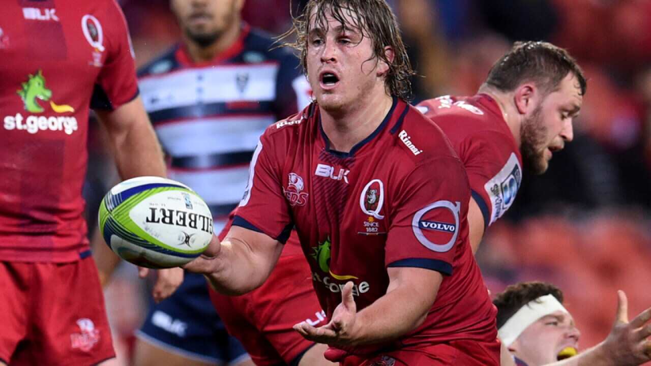 Queensland Reds hooker Andrew Ready