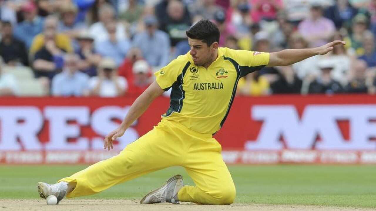 Australia's Moises Henriques fields the ball.