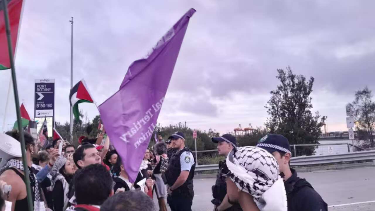 Police and pro-Palestinian protesters at the entrance to Port Botany. Source: Twitter