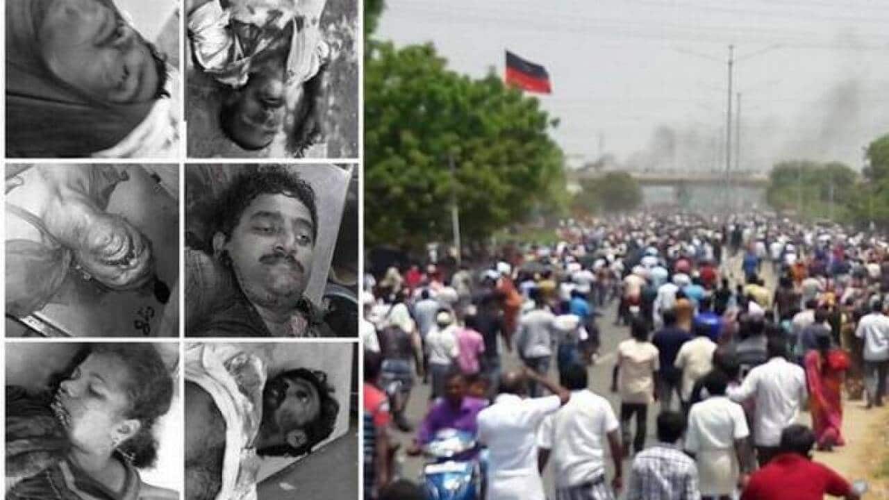 Sterlite killings