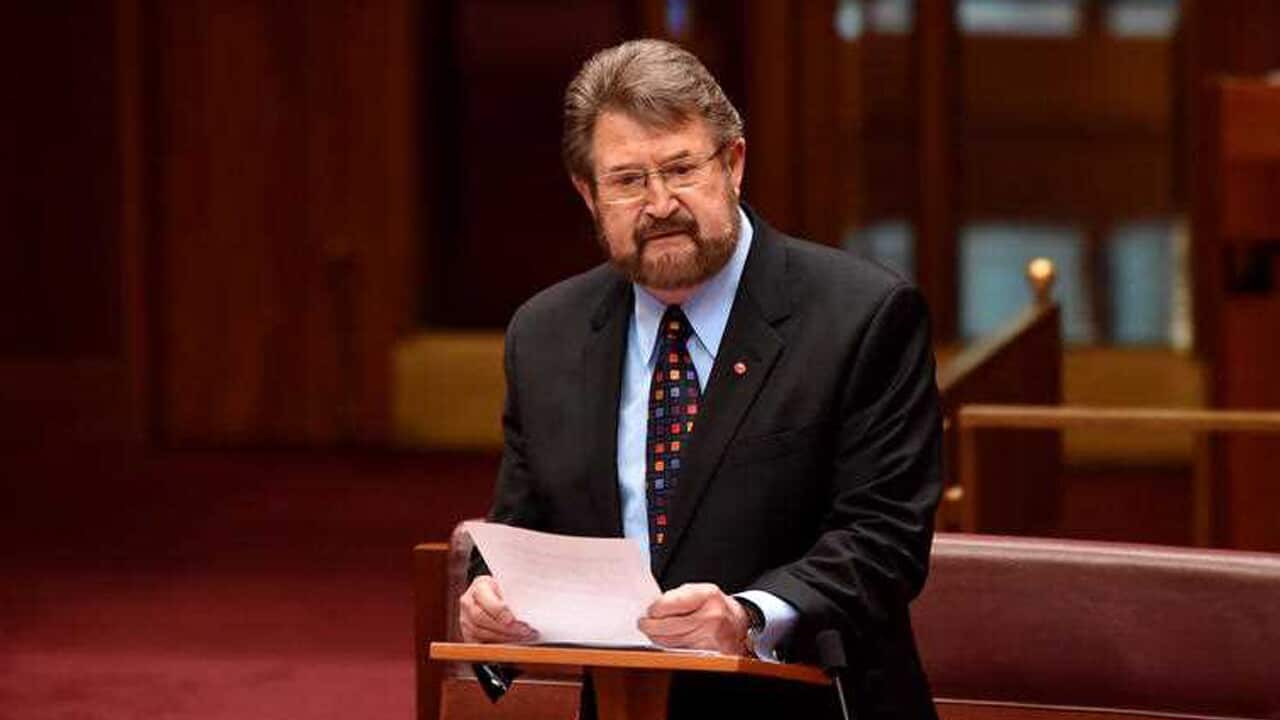 Veteran broadcaster and former senator Derryn Hinch dies aged 82 | SBS News