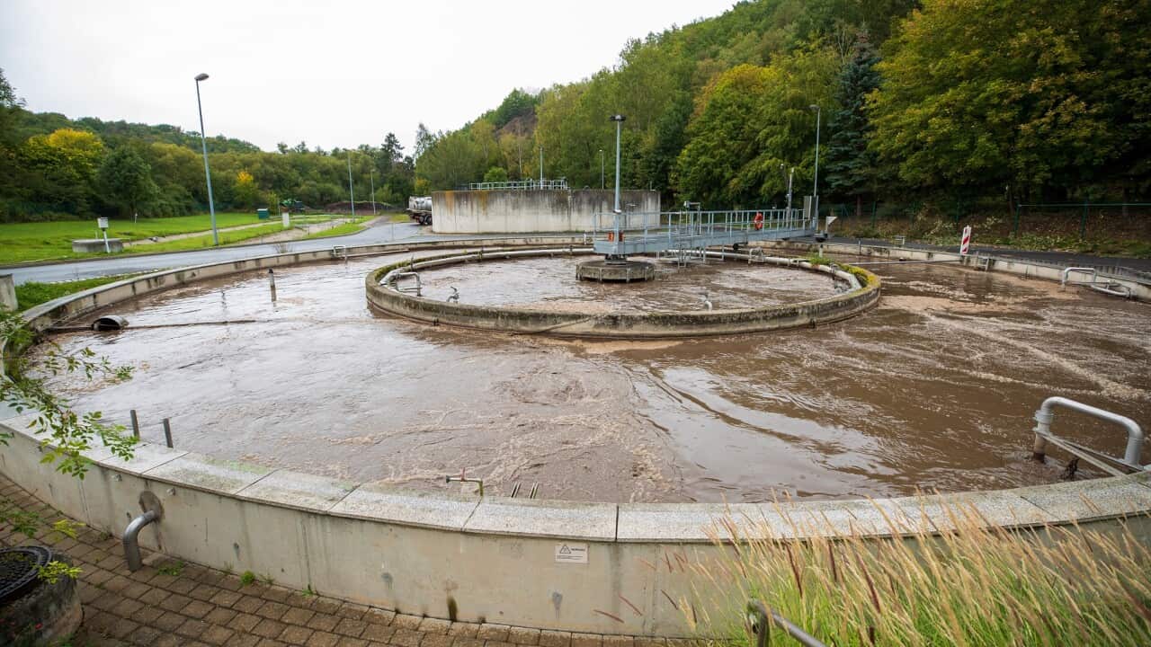 Sewage treatment plant