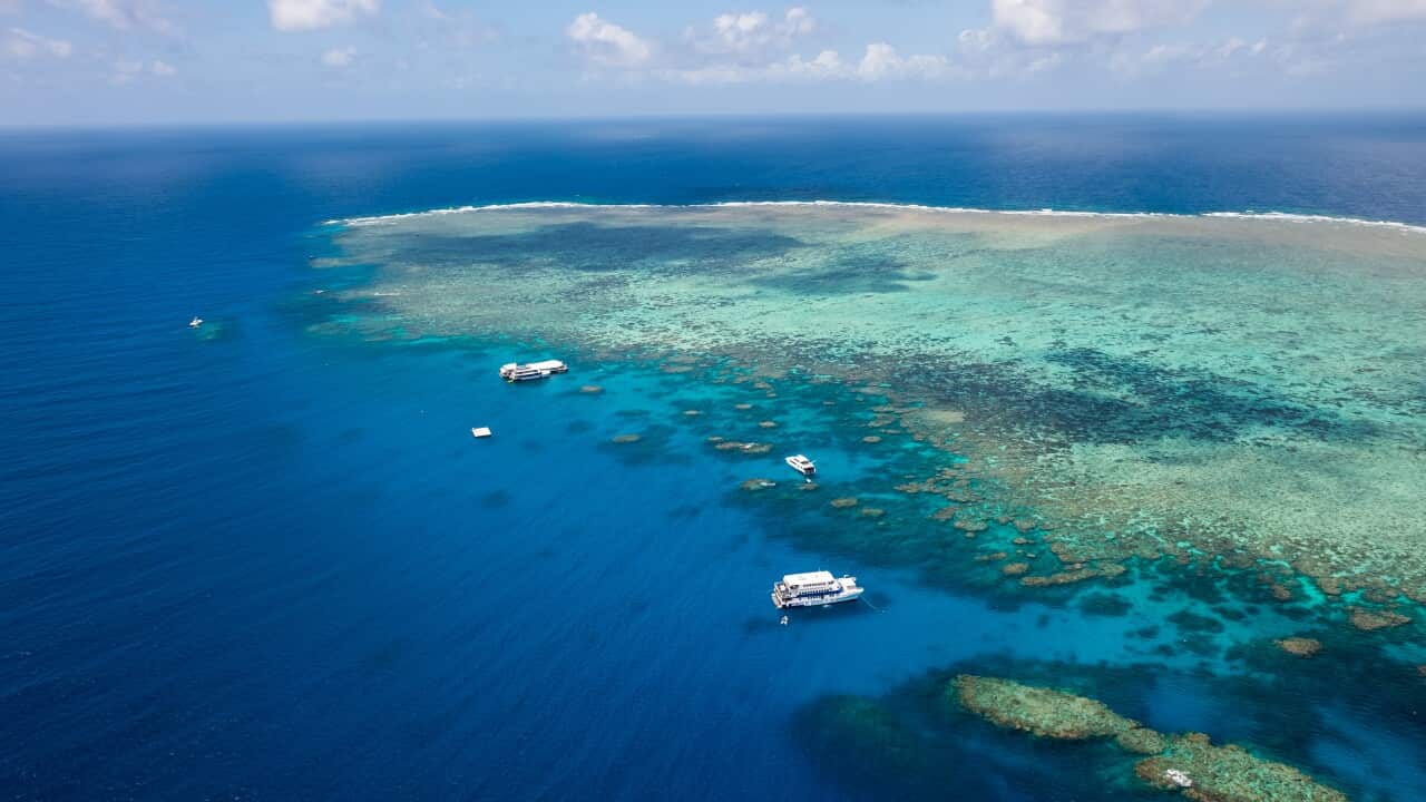 Overlooking view of the Norman reef in Great barrier Reef, Australia