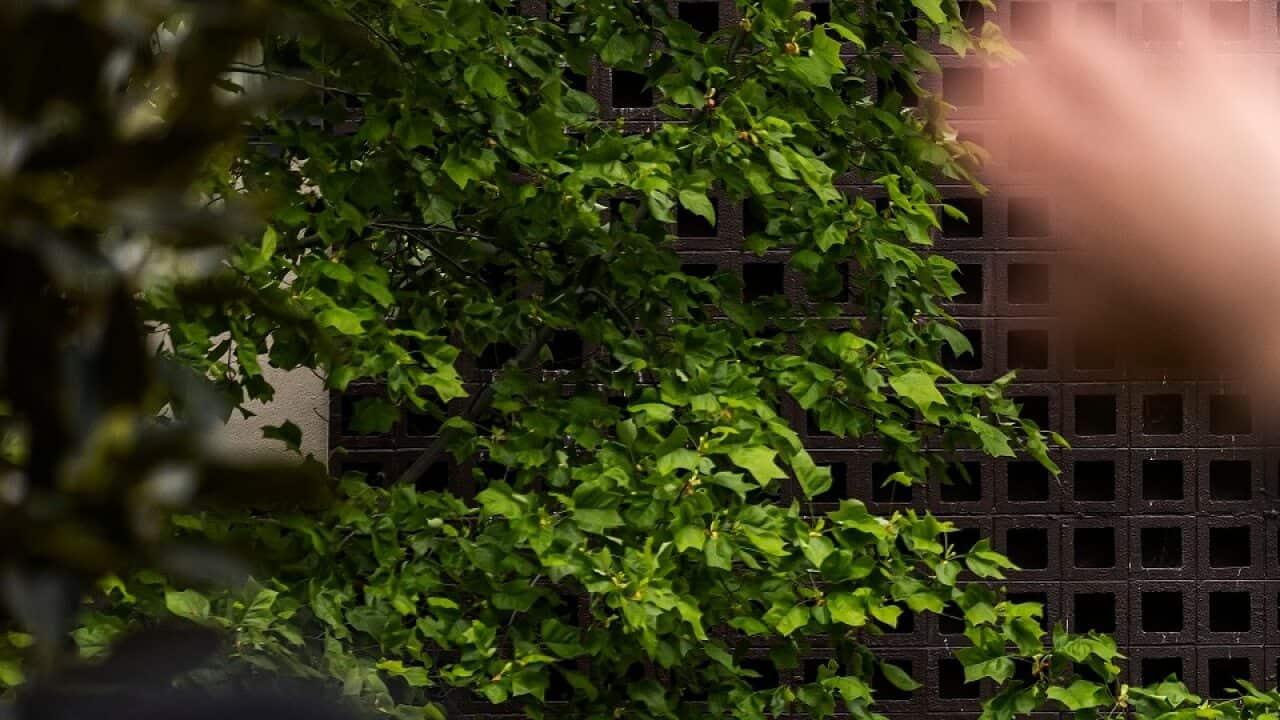 A person looks out a window of the Park Hotel in Carlton as a refugee advocate (left) waves.