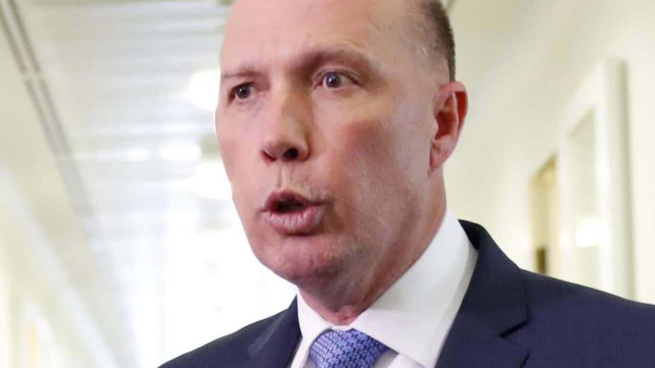 Peter Dutton has denied any wrongdoing over his decision to intervene in the visa of an au pair.