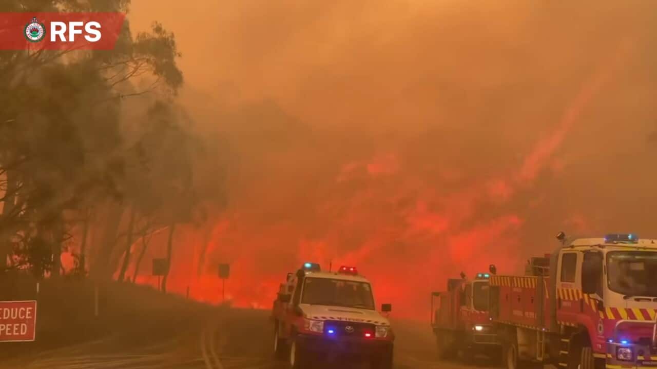 A supplied image of the Alpha Rd Fire, in Tambaroora, NSW from March 2023
