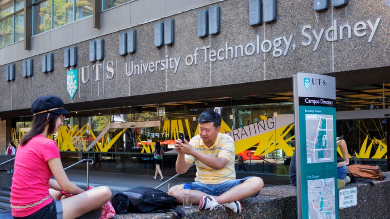 Jeff Greenberg/UIG via Getty Images