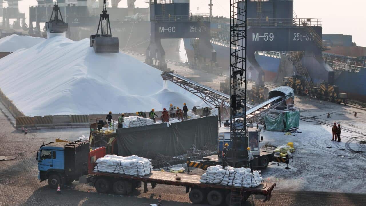 Middle East war causes fertilizer shortage during spring ploughing season, may trigger food crisis