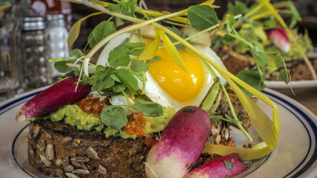 Avocado toast and other vegetarian delights as served at Duke's Grocery, in Washington, DC.