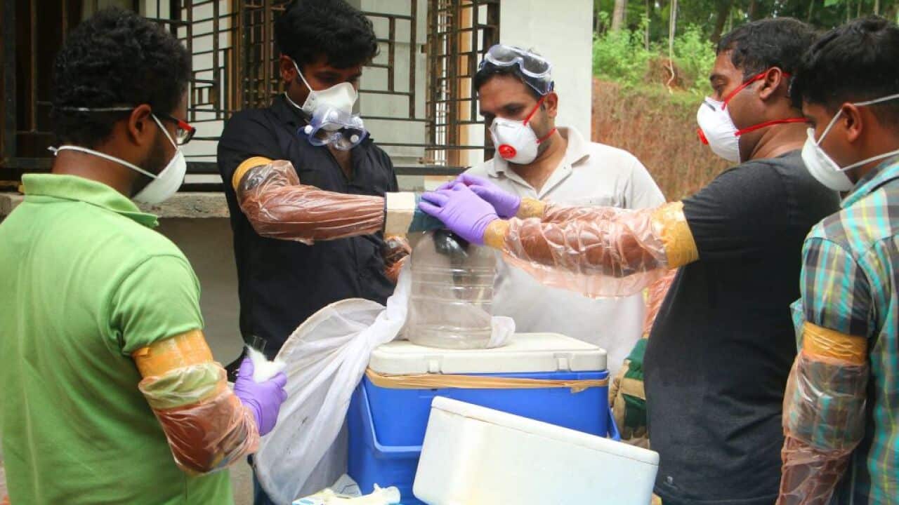 Forest officials deposit a bat into a container after catching it inside a well at Changaroth in Kozhikode.