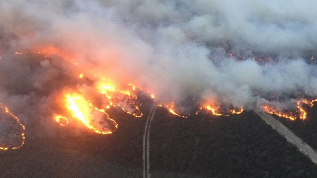 The Rosedale firefront on 5 January.