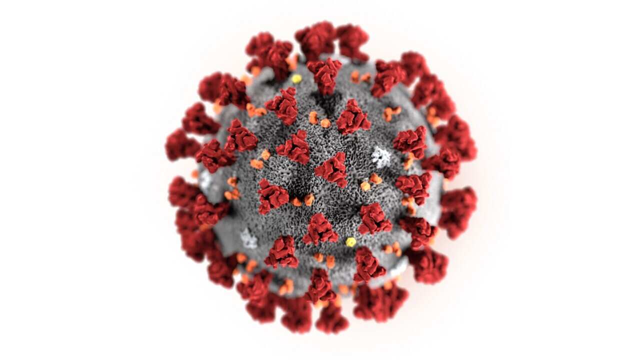 Illustration by the Centers for Disease Control and Prevention showing the 2019 Novel Coronavirus