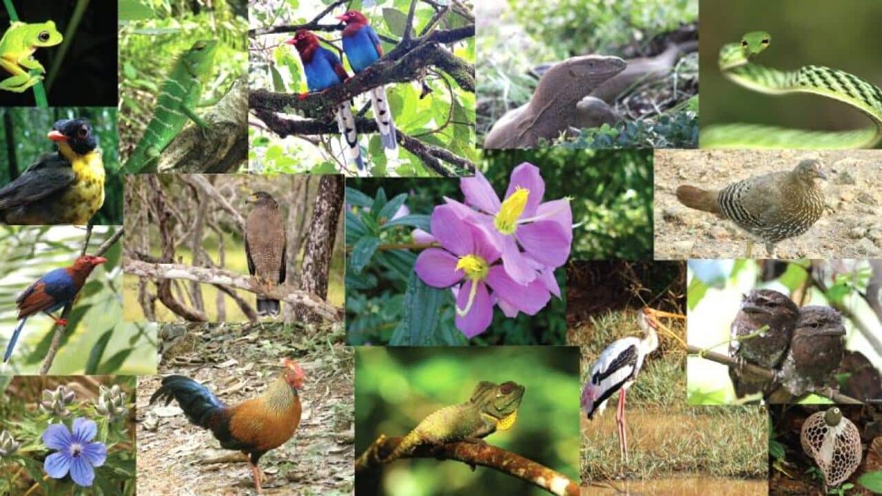 bio diversity