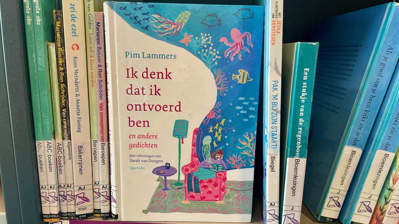 Ik denk dat ik ontvoerd ben