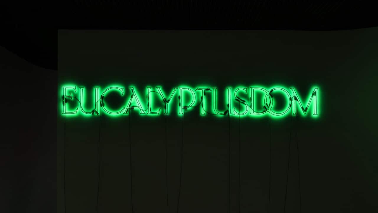Eucalyptusdom