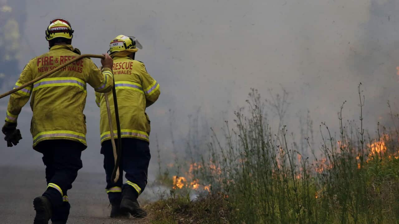 Firefighters work on a controlled burn just South of Taree.