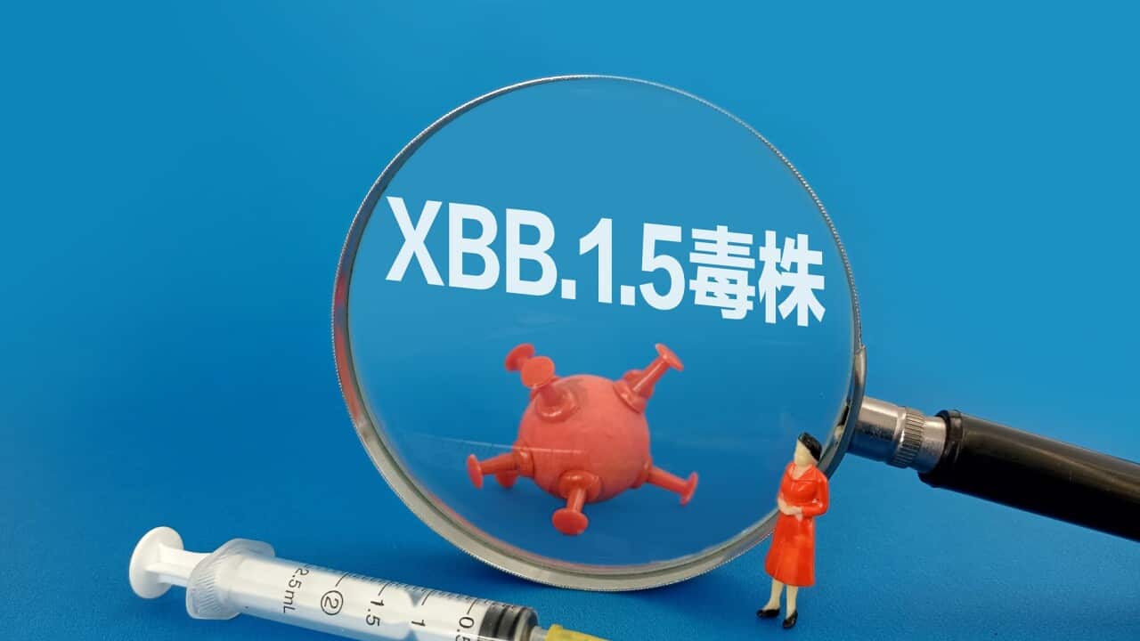 China: Illustration: XBB.1.5 Strain