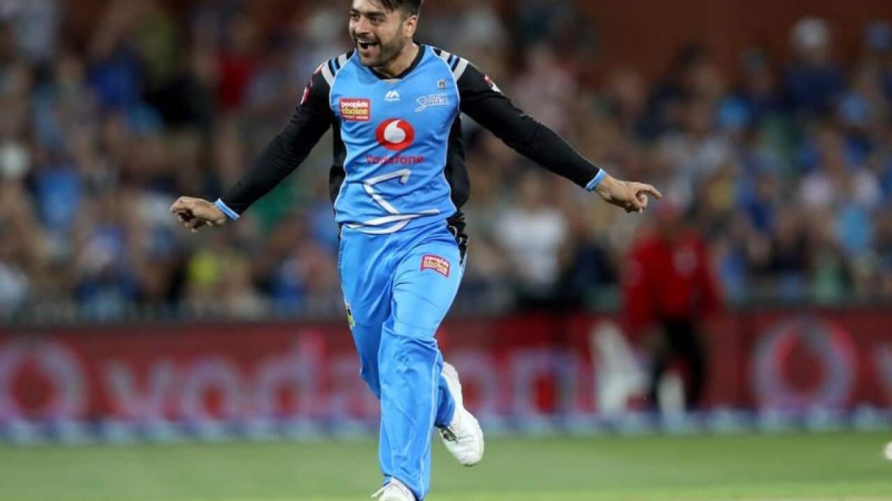 cricket