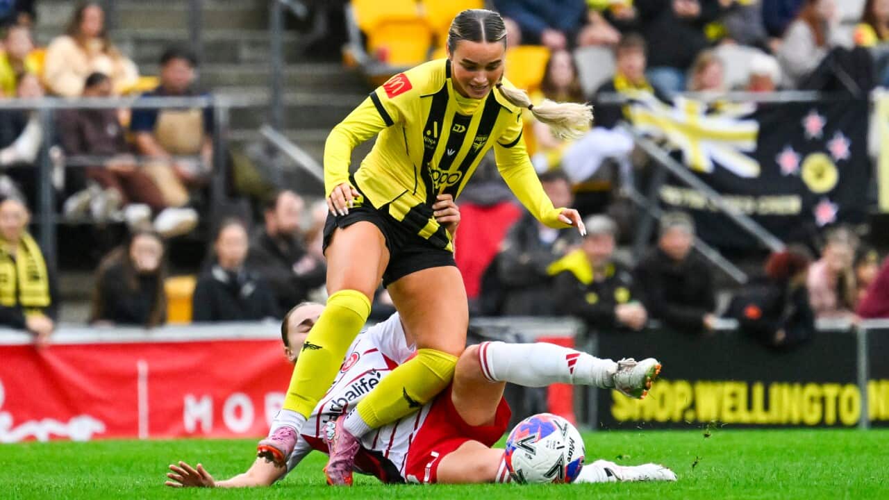 ALEAGUE PHOENIX WANDERERS WOMEN