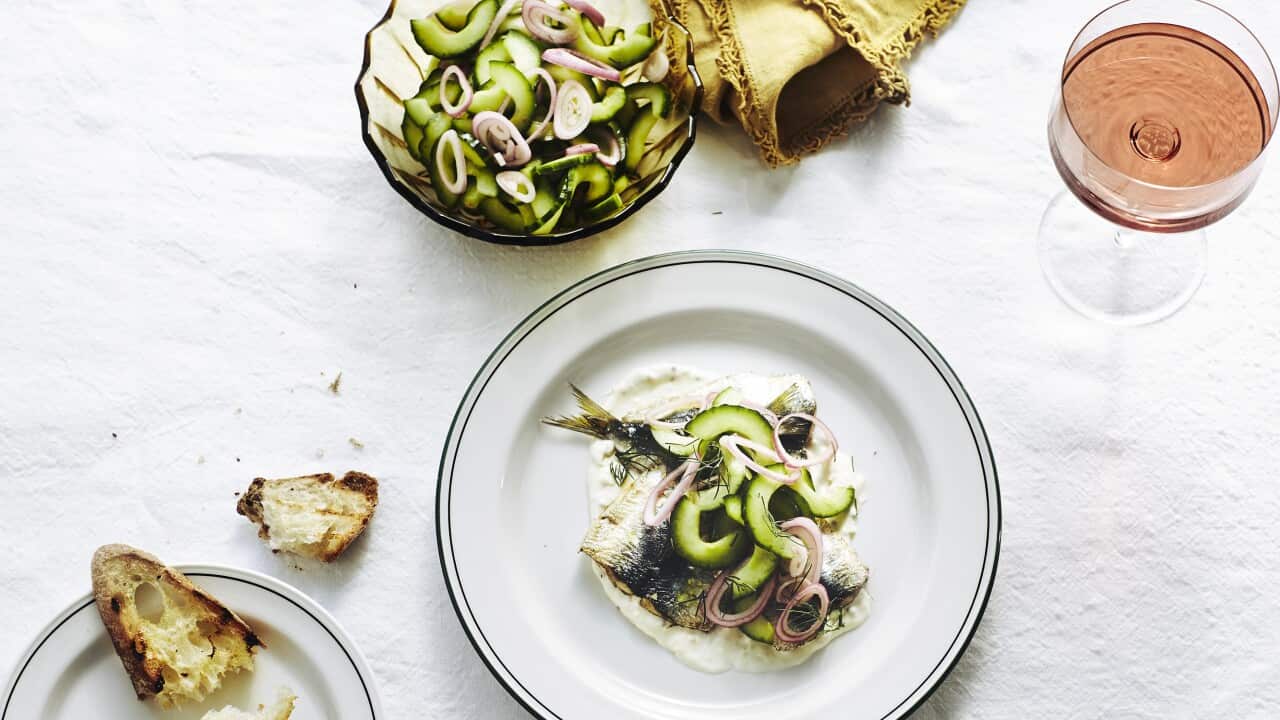 Chargrilled sardines with telegraph cucumber, dill and caraway