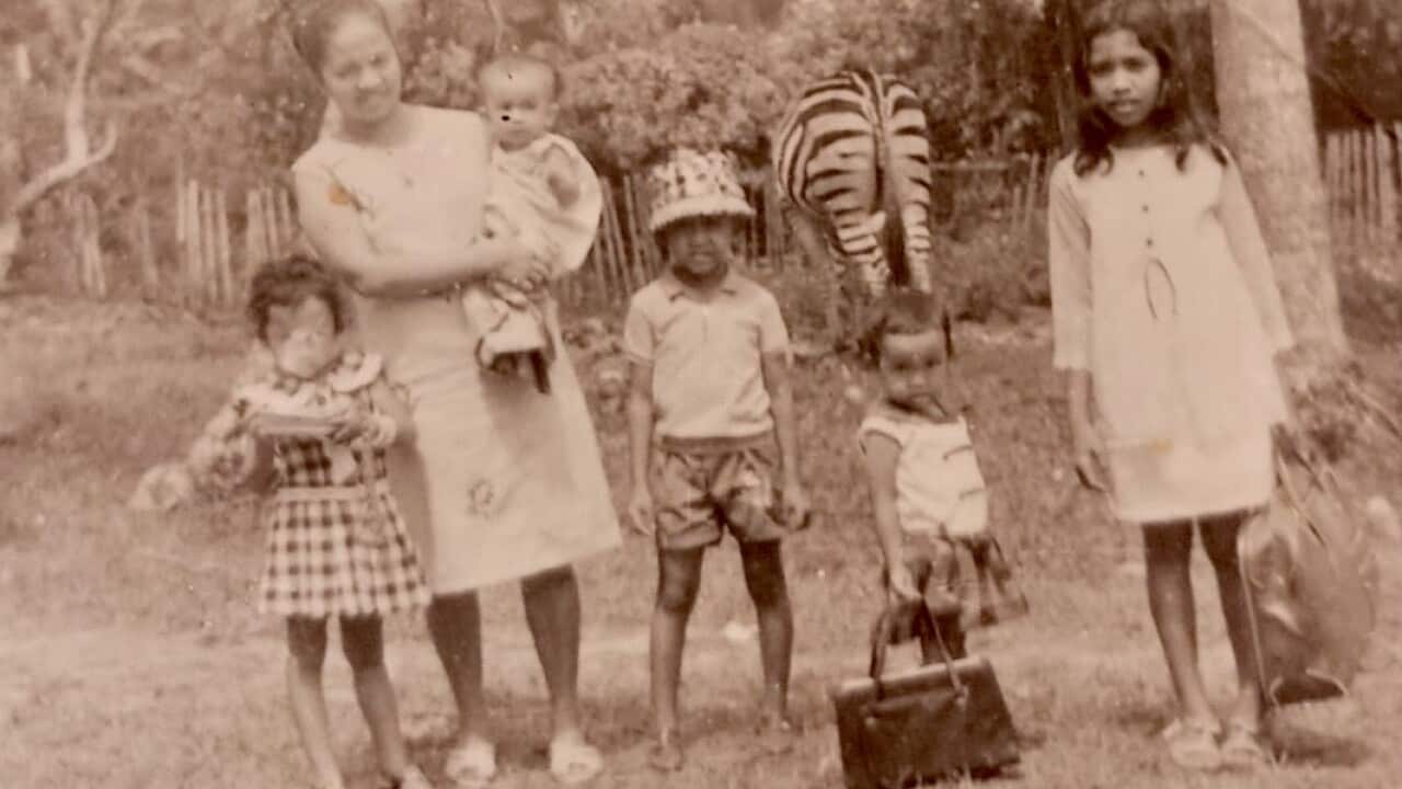 Sepia memories. Family outing to the zoo.