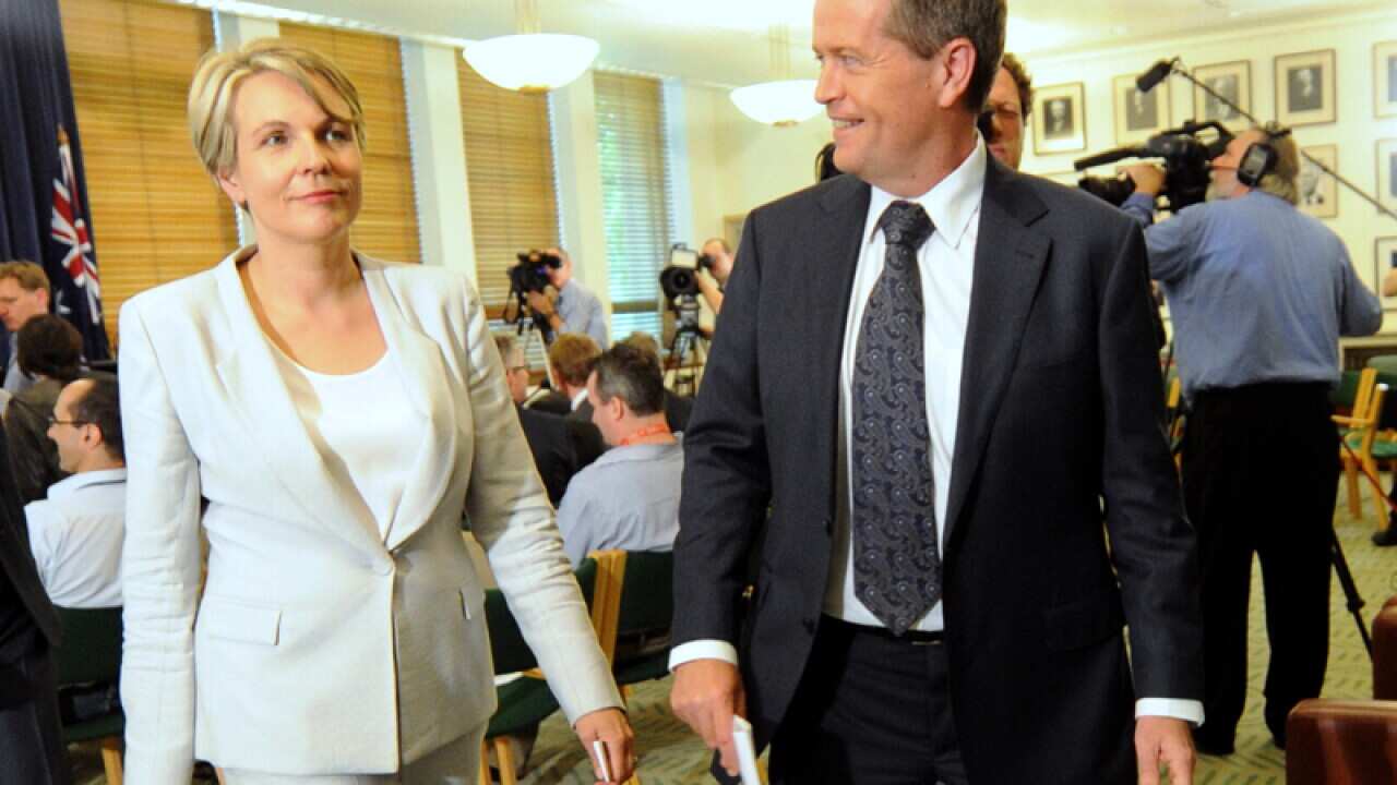 Labor leader Bill Shorten and deputy Tanya Plibersek.