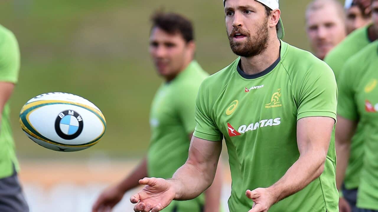 Western Force and Wallabies back Luke Morahan