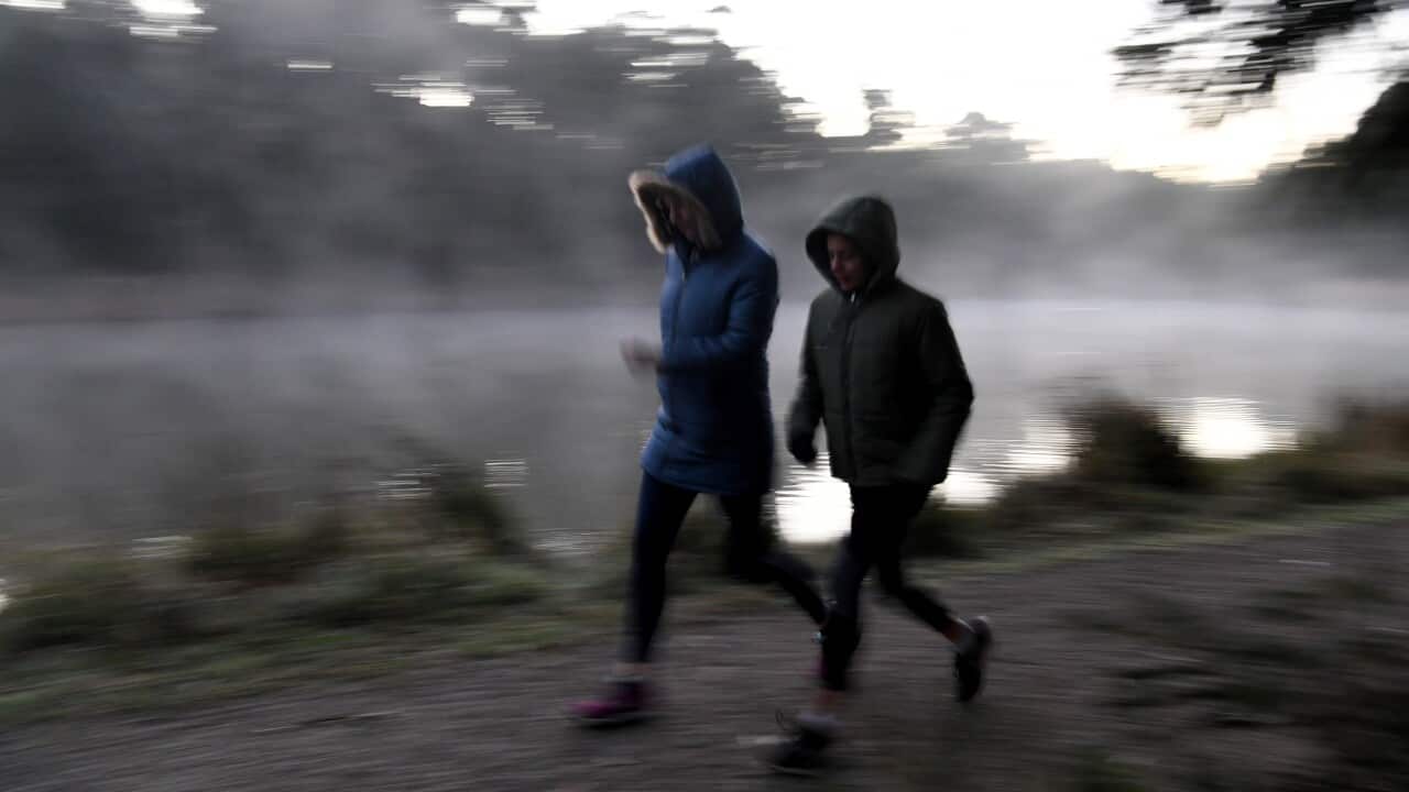 Two early walkers brave the cold weather at Birdsland Reserve in Belgrave South, east of Melbourne.