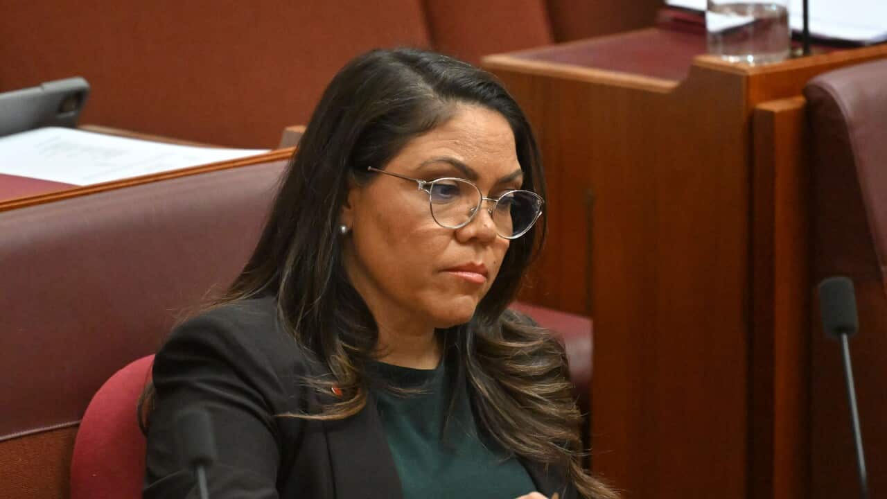 SENATE QUESTION TIME