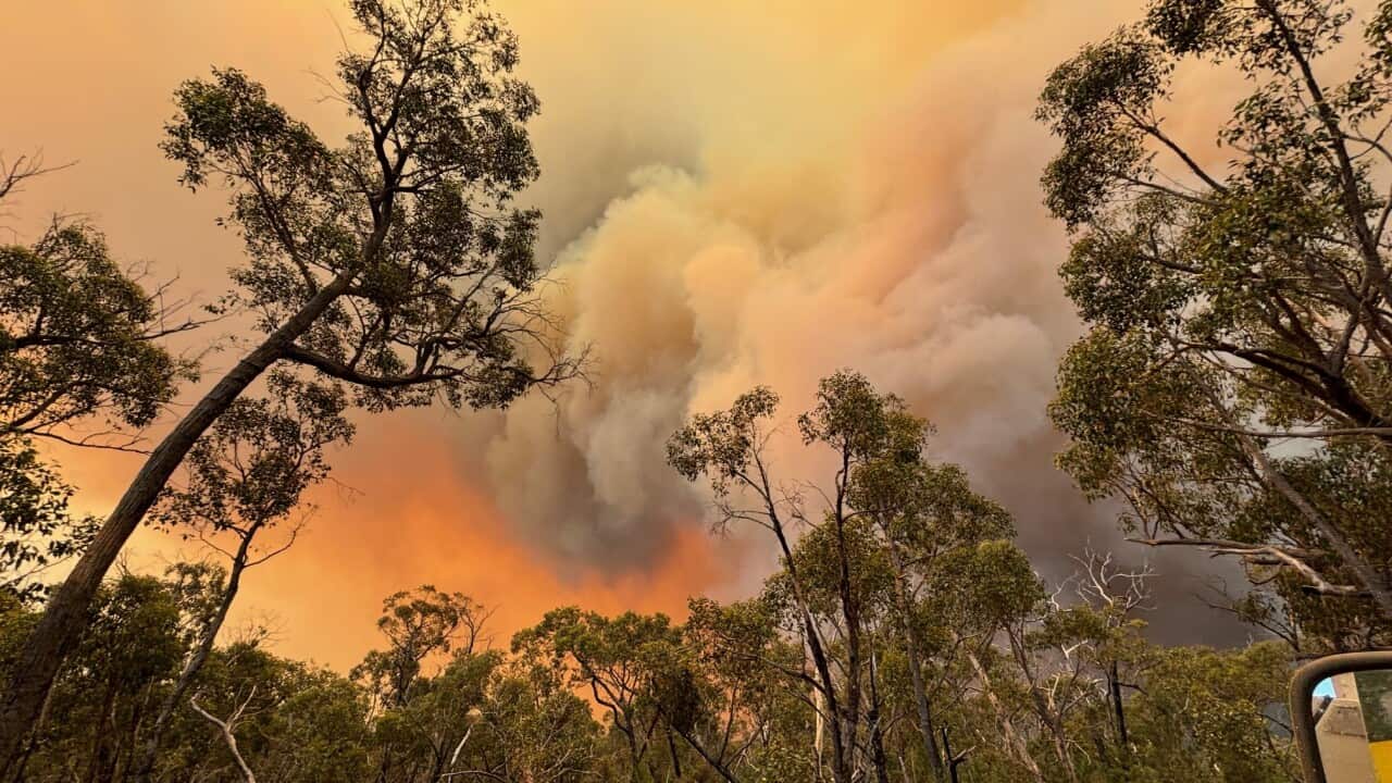 Image for read more article 'READ MORE'