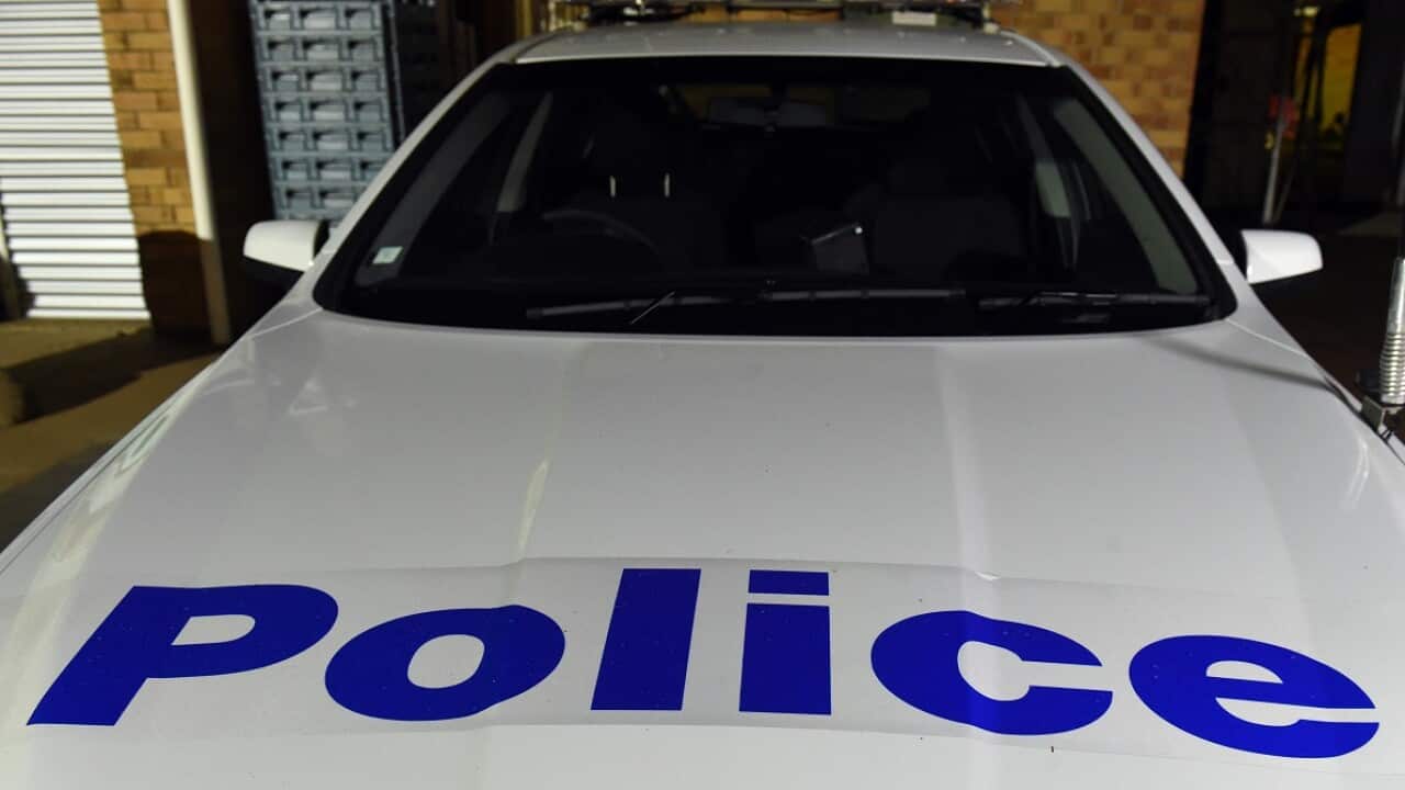 Seven people - including a teenage girl - from a Blue Mountains circus training school are in police custody.