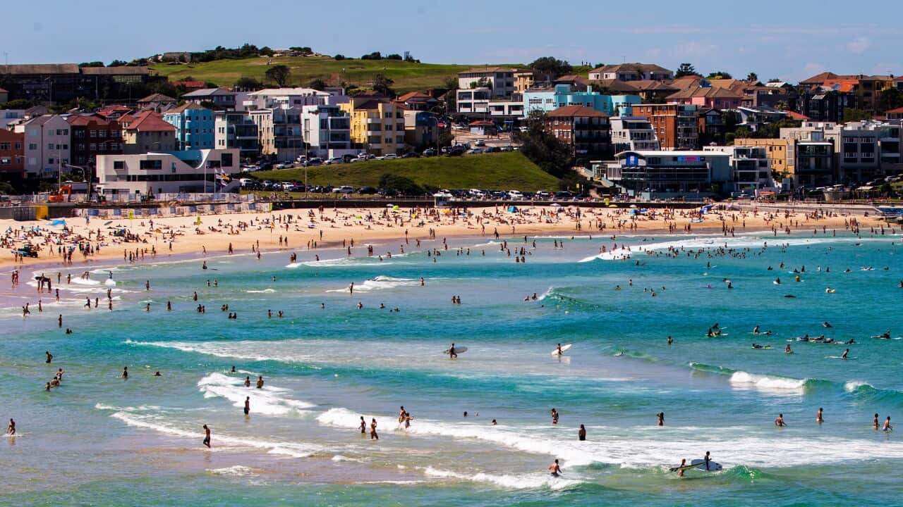Bondi beach