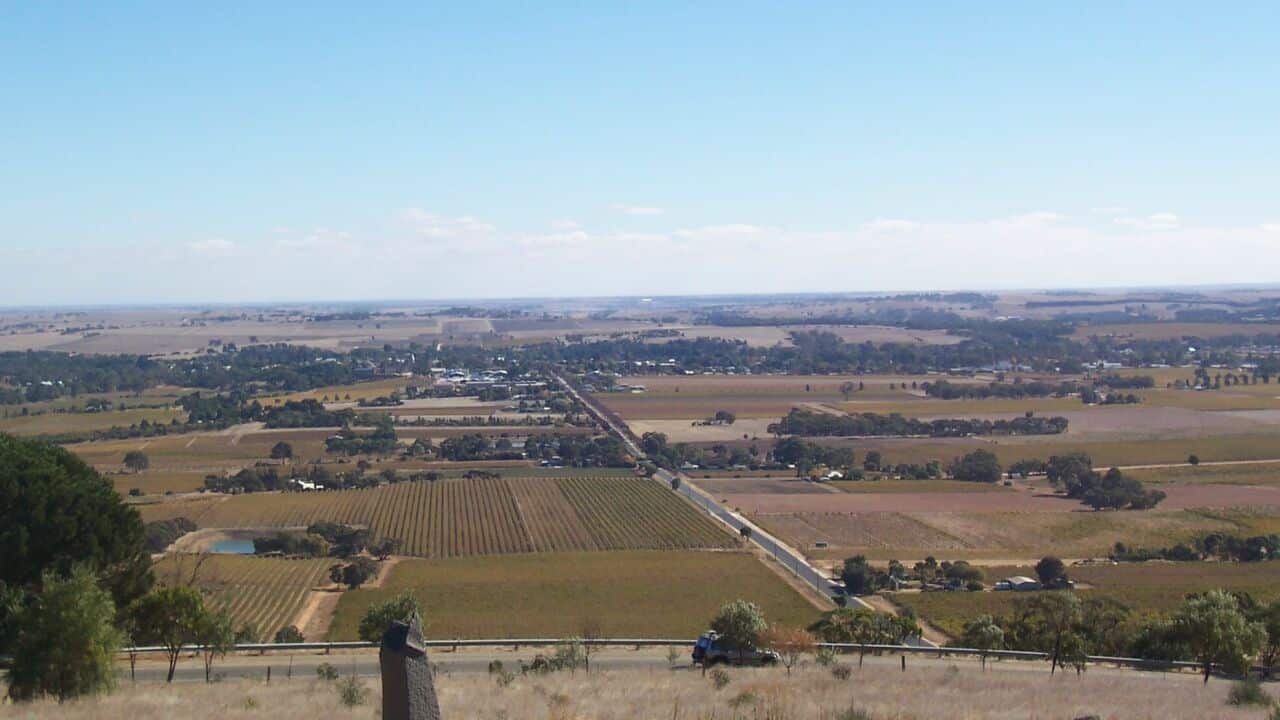 Barossa Valley