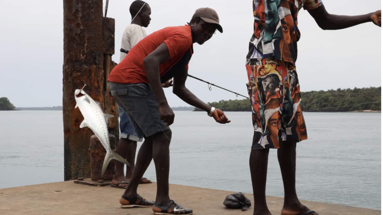 Screenshot 2023-01-11 at 19.59.26.png