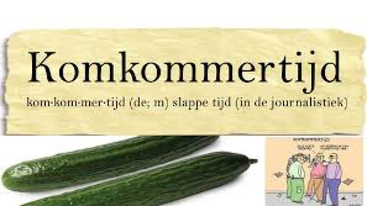 slow week in ozzie pols, nicolien van vroonhoven