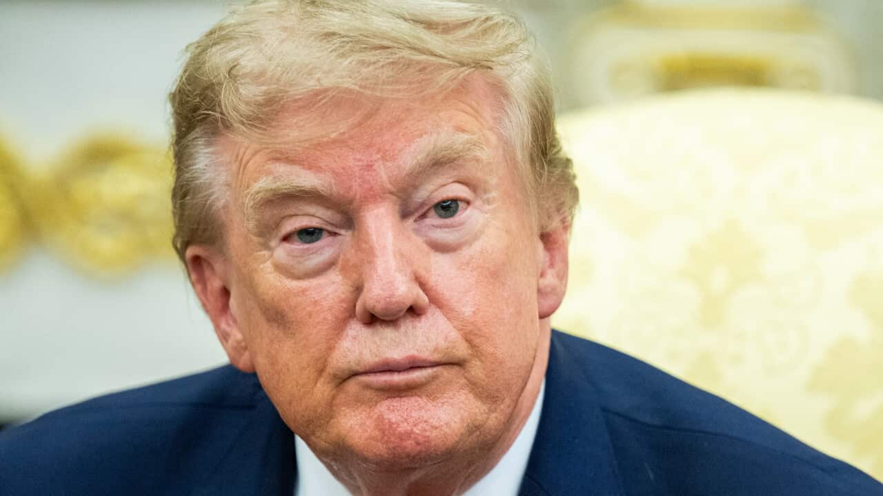 Donald Trump, sitting on a yellow chair.